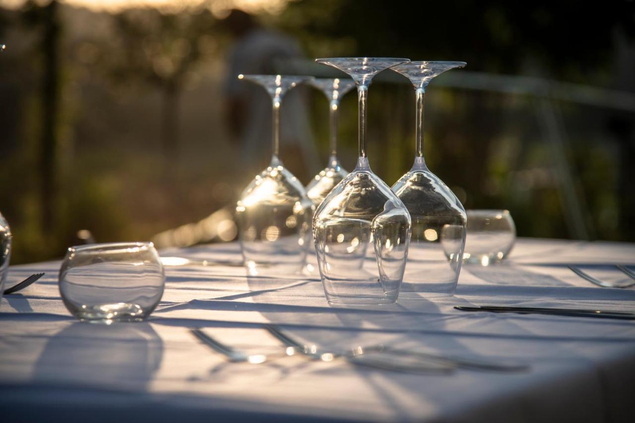 Recchi Franceschini Bike Hotel Last - Minute - Availability Montalto delle Marche Exterior photo