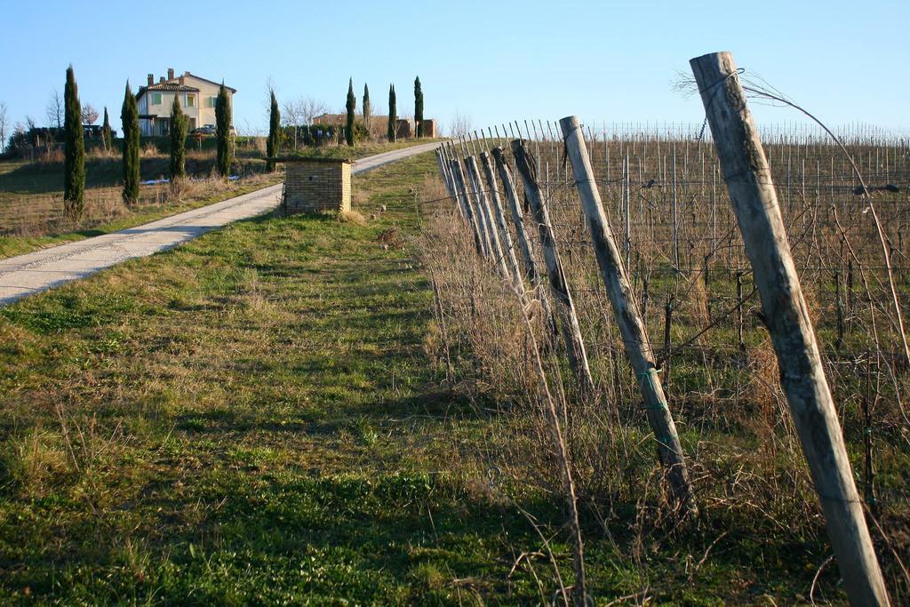 Recchi Franceschini Bike Hotel Last - Minute - Availability Montalto delle Marche Exterior photo